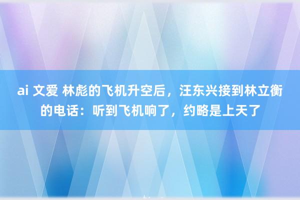 ai 文爱 林彪的飞机升空后，汪东兴接到林立衡的电话：听到飞机响了，约略是上天了