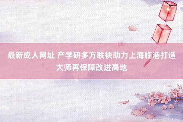 最新成人网址 产学研多方联袂助力上海临港打造大师再保障改进高地