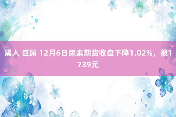 黑人 巨屌 12月6日尿素期货收盘下降1.02%，报1739元