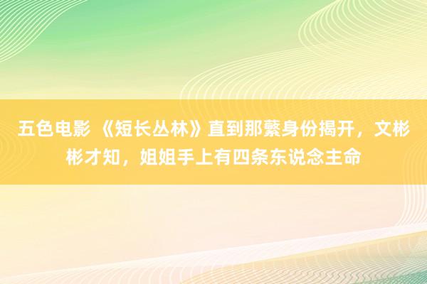 五色电影 《短长丛林》直到那蘩身份揭开，文彬彬才知，姐姐手上有四条东说念主命