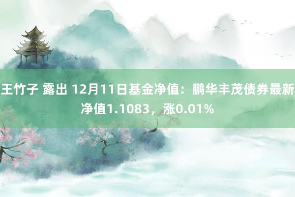 王竹子 露出 12月11日基金净值：鹏华丰茂债券最新净值1.1083，涨0.01%