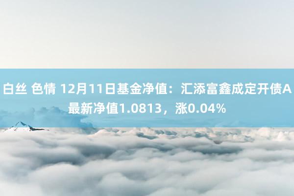 白丝 色情 12月11日基金净值：汇添富鑫成定开债A最新净值1.0813，涨0.04%