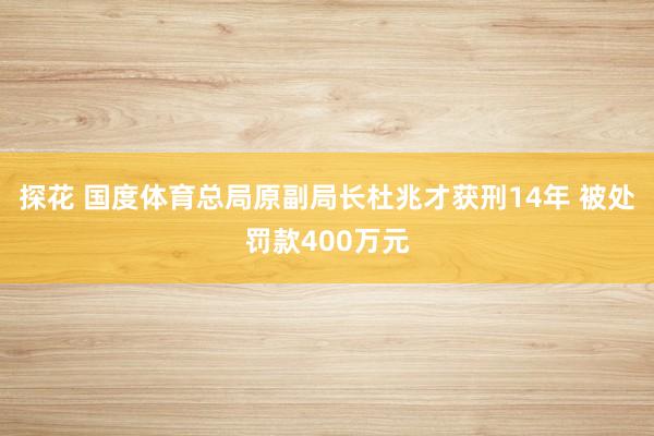 探花 国度体育总局原副局长杜兆才获刑14年 被处罚款400万元