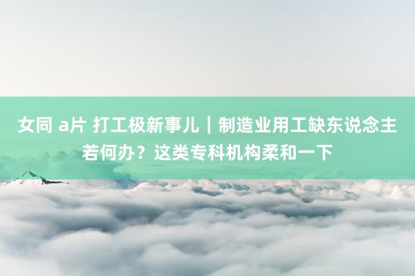 女同 a片 打工极新事儿｜制造业用工缺东说念主若何办？这类专科机构柔和一下