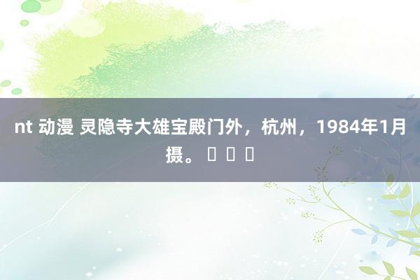 nt 动漫 灵隐寺大雄宝殿门外，杭州，1984年1月摄。 ​​​