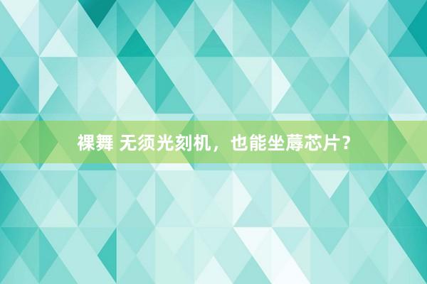 裸舞 无须光刻机，也能坐蓐芯片？