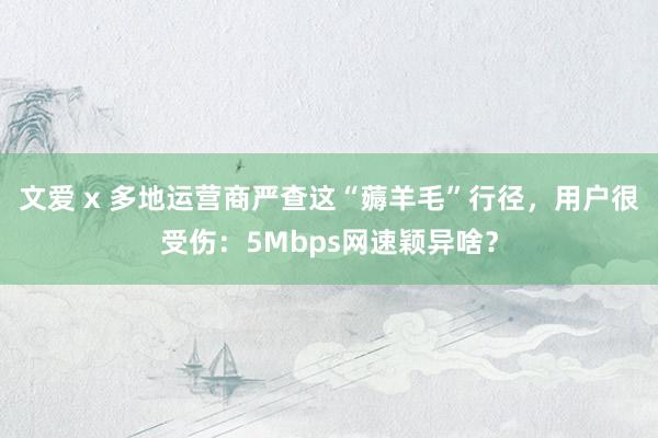 文爱 x 多地运营商严查这“薅羊毛”行径，用户很受伤：5Mbps网速颖异啥？
