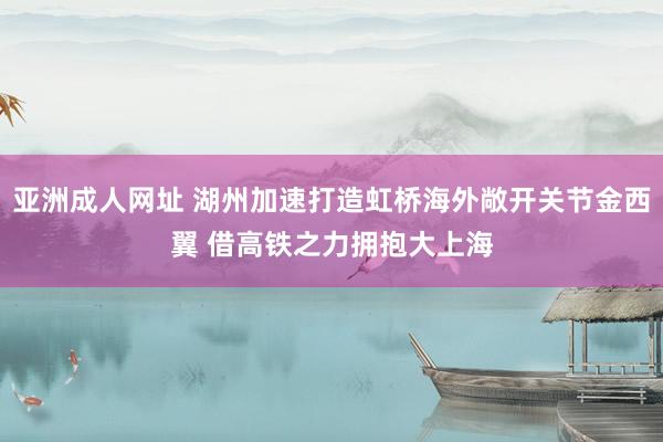 亚洲成人网址 湖州加速打造虹桥海外敞开关节金西翼 借高铁之力拥抱大上海