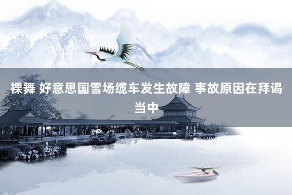 裸舞 好意思国雪场缆车发生故障 事故原因在拜谒当中