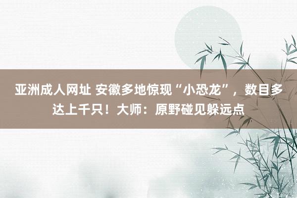 亚洲成人网址 安徽多地惊现“小恐龙”，数目多达上千只！大师：原野碰见躲远点