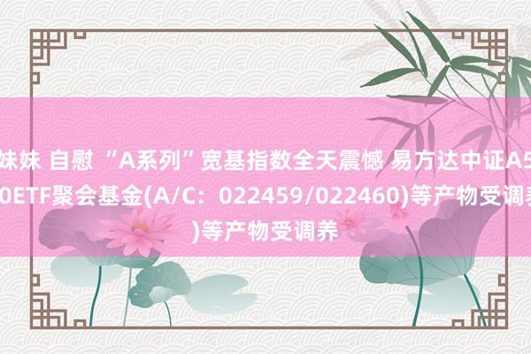 妹妹 自慰 “A系列”宽基指数全天震憾 易方达中证A500ETF聚会基金(A/C：022459/022460)等产物受调养