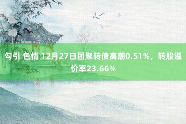 勾引 色情 12月27日团聚转债高潮0.51%，转股溢价率23.66%