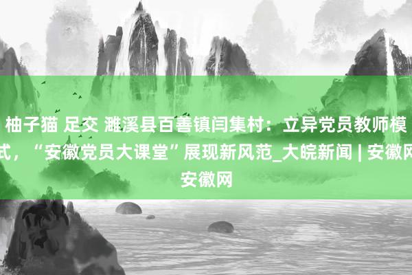 柚子猫 足交 濉溪县百善镇闫集村：立异党员教师模式，“安徽党员大课堂”展现新风范_大皖新闻 | 安徽网