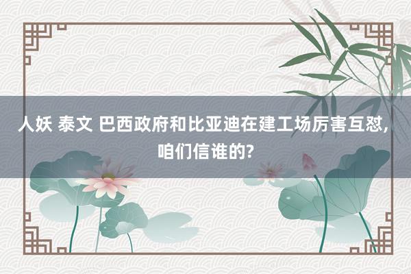 人妖 泰文 巴西政府和比亚迪在建工场厉害互怼, 咱们信谁的?