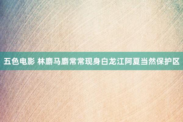 五色电影 林麝马麝常常现身白龙江阿夏当然保护区