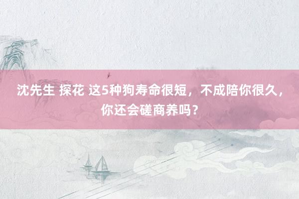 沈先生 探花 这5种狗寿命很短，不成陪你很久，你还会磋商养吗？