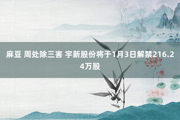 麻豆 周处除三害 宇新股份将于1月3日解禁216.24万股