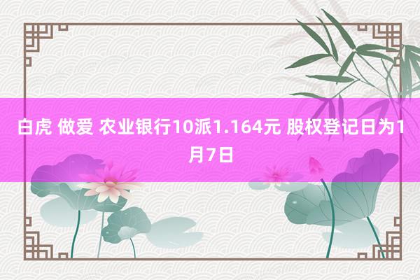 白虎 做爱 农业银行10派1.164元 股权登记日为1月7日