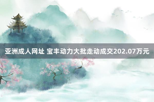 亚洲成人网址 宝丰动力大批走动成交202.07万元