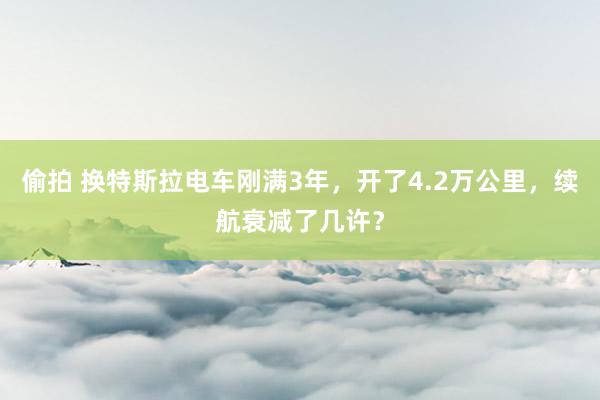 偷拍 换特斯拉电车刚满3年，开了4.2万公里，续航衰减了几许？