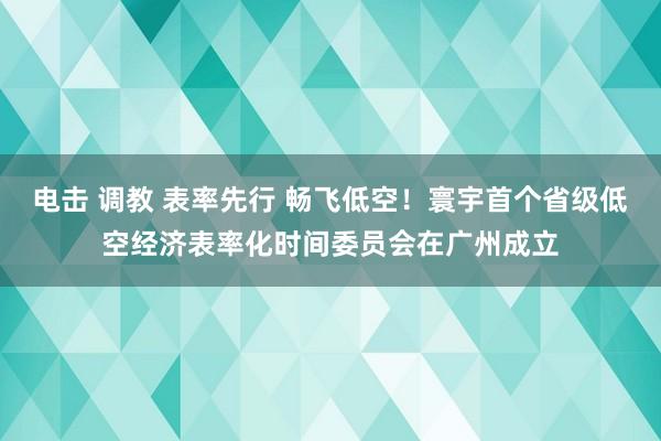 电击 调教 表率先行 畅飞低空！寰宇首个省级低空经济表率化时间委员会在广州成立