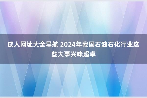 成人网址大全导航 2024年我国石油石化行业这些大事兴味超卓