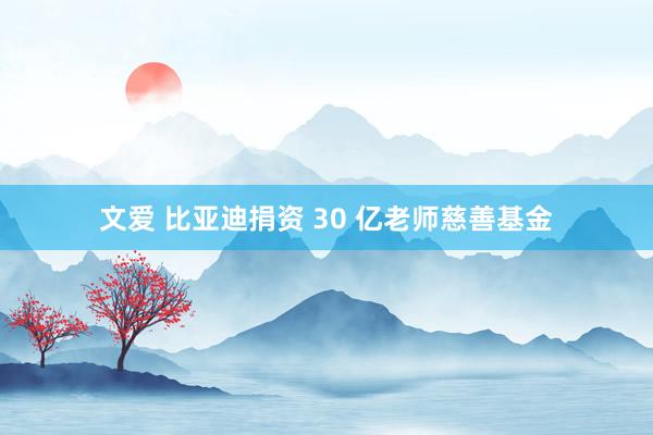 文爱 比亚迪捐资 30 亿老师慈善基金