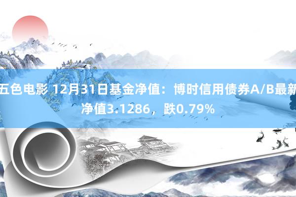 五色电影 12月31日基金净值：博时信用债券A/B最新净值3.1286，跌0.79%