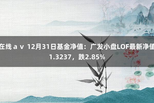在线ａｖ 12月31日基金净值：广发小盘LOF最新净值1.3237，跌2.85%
