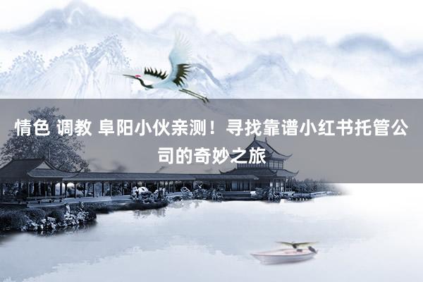 情色 调教 阜阳小伙亲测！寻找靠谱小红书托管公司的奇妙之旅