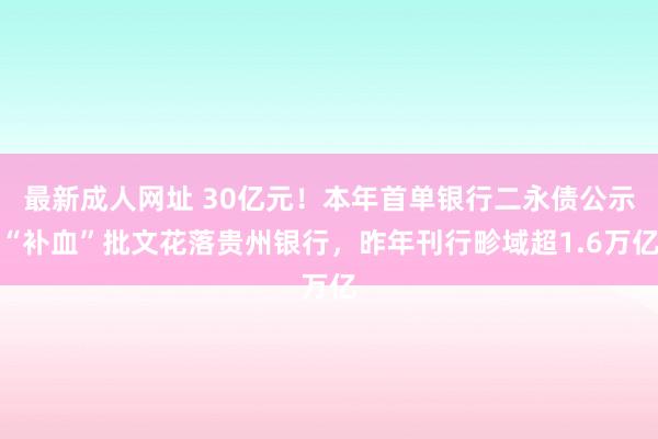 最新成人网址 30亿元！本年首单银行二永债公示“补血”批文花落贵州银行，昨年刊行畛域超1.6万亿