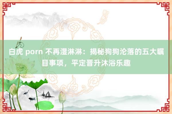 白虎 porn 不再湿淋淋：揭秘狗狗沦落的五大瞩目事项，平定晋升沐浴乐趣