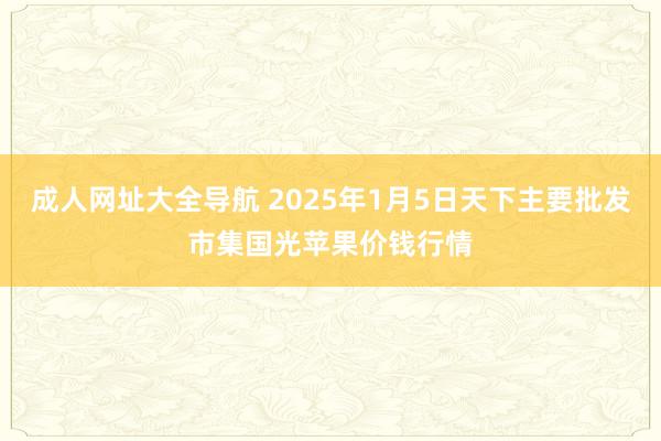 成人网址大全导航 2025年1月5日天下主要批发市集国光苹果价钱行情