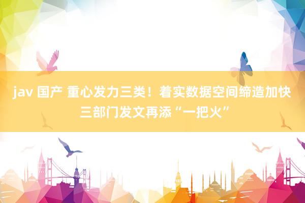 jav 国产 重心发力三类！着实数据空间缔造加快 三部门发文再添“一把火”