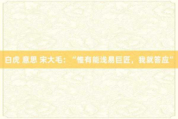 白虎 意思 宋大毛：“惟有能浅易巨匠，我就答应”