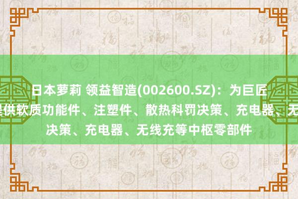 日本萝莉 领益智造(002600.SZ)：为巨匠XR界限头部客户提供软质功能件、注塑件、散热科罚决策、充电器、无线充等中枢零部件
