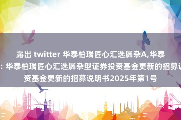 露出 twitter 华泰柏瑞匠心汇选羼杂A,华泰柏瑞匠心汇选羼杂C: 华泰柏瑞匠心汇选羼杂型证券投资基金更新的招募说明书2025年第1号
