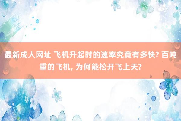 最新成人网址 飞机升起时的速率究竟有多快? 百吨重的飞机, 为何能松开飞上天?