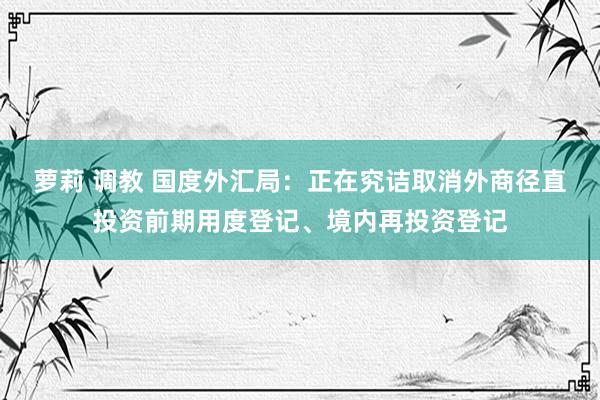萝莉 调教 国度外汇局：正在究诘取消外商径直投资前期用度登记、境内再投资登记