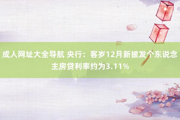成人网址大全导航 央行：客岁12月新披发个东说念主房贷利率约为3.11%