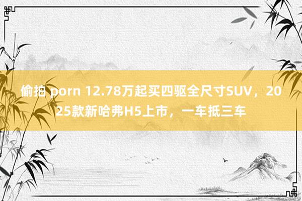 偷拍 porn 12.78万起买四驱全尺寸SUV，2025款新哈弗H5上市，一车抵三车