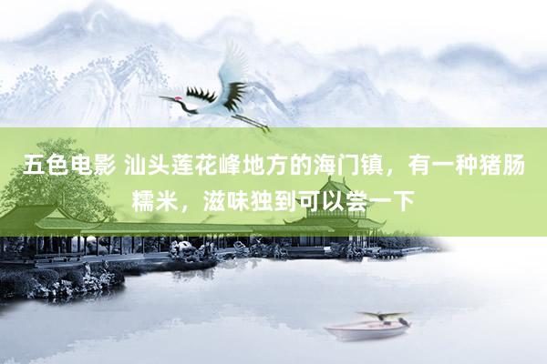 五色电影 汕头莲花峰地方的海门镇，有一种猪肠糯米，滋味独到可以尝一下