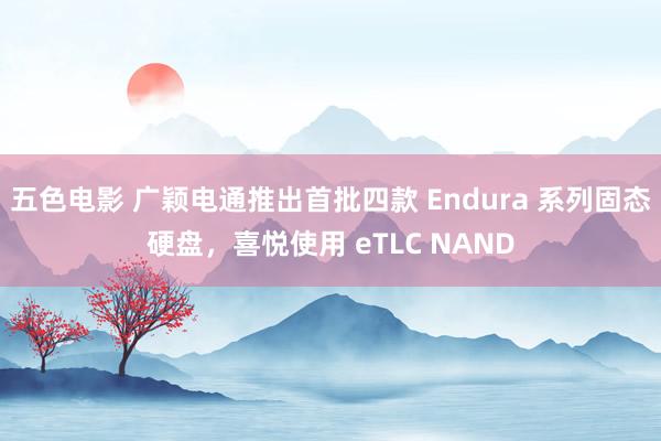 五色电影 广颖电通推出首批四款 Endura 系列固态硬盘，喜悦使用 eTLC NAND