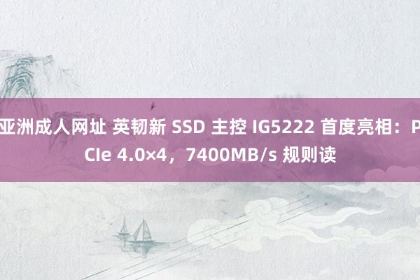 亚洲成人网址 英韧新 SSD 主控 IG5222 首度亮相：PCIe 4.0×4，7400MB/s 规则读