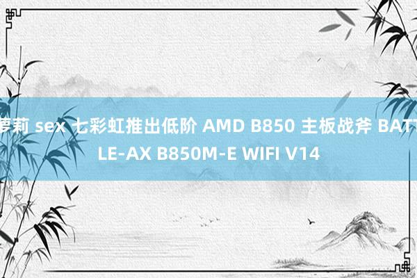 萝莉 sex 七彩虹推出低阶 AMD B850 主板战斧 BATTLE-AX B850M-E WIFI V14