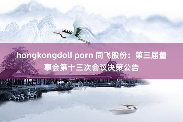 hongkongdoll porn 同飞股份：第三届董事会第十三次会议决策公告