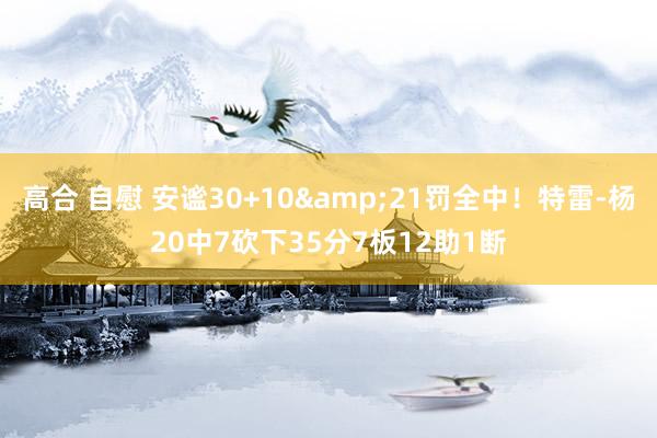 高合 自慰 安谧30+10&21罚全中！特雷-杨20中7砍下35分7板12助1断