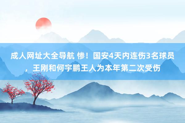 成人网址大全导航 惨！国安4天内连伤3名球员，王刚和何宇鹏王人为本年第二次受伤