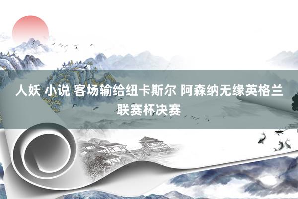 人妖 小说 客场输给纽卡斯尔 阿森纳无缘英格兰联赛杯决赛