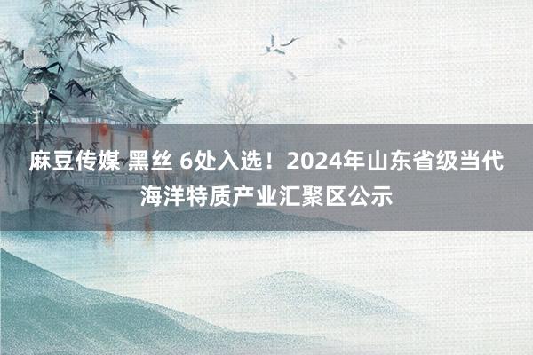 麻豆传媒 黑丝 6处入选！2024年山东省级当代海洋特质产业汇聚区公示